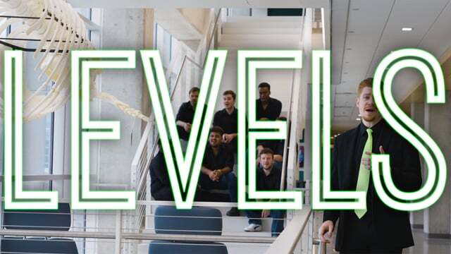 Thumbnail for the "Levels" music video. This cover performed by Unexpected Resolution. Song originally performed by Nick Jonas.